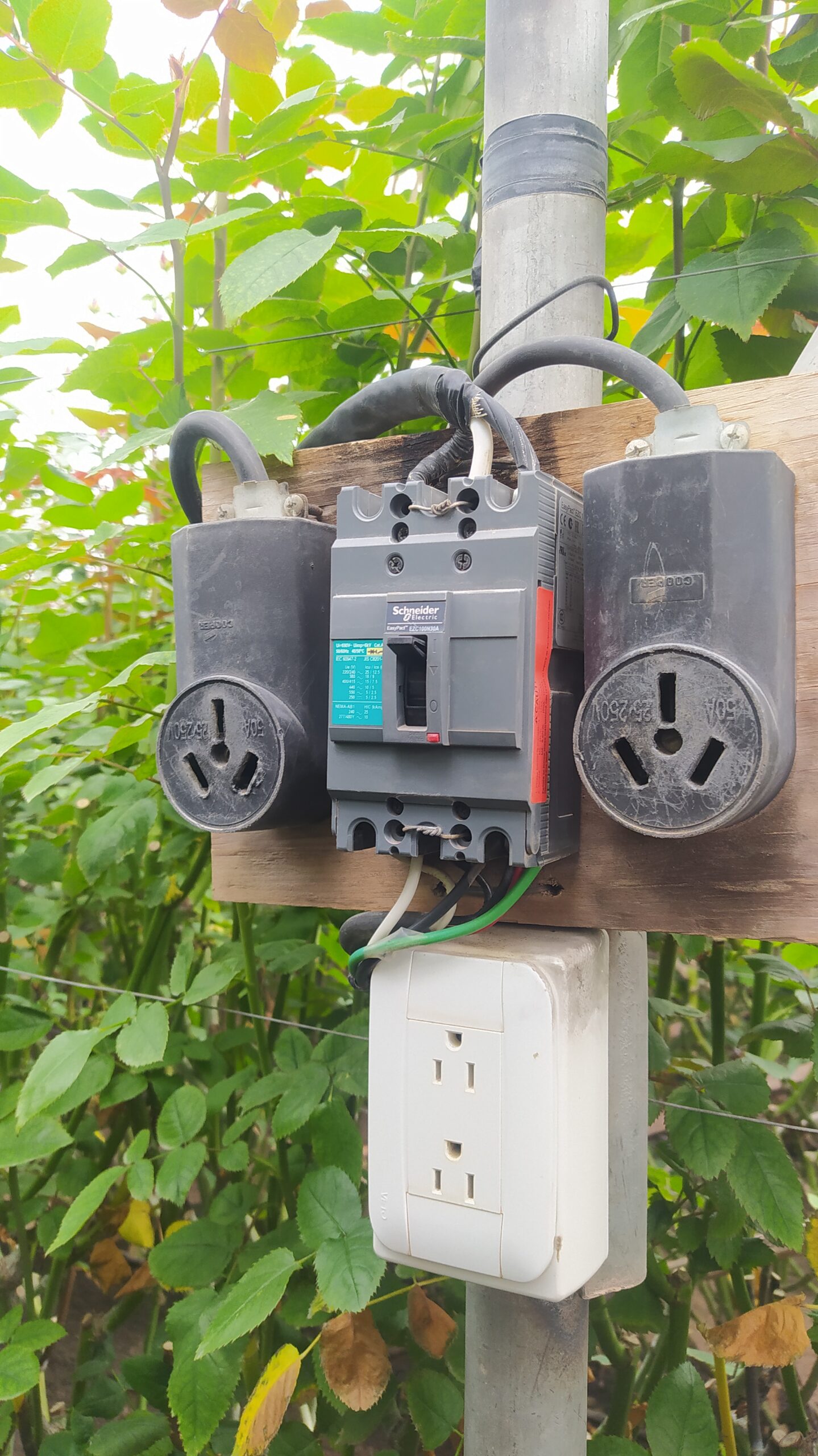 Empalmes de Grueso Calibre